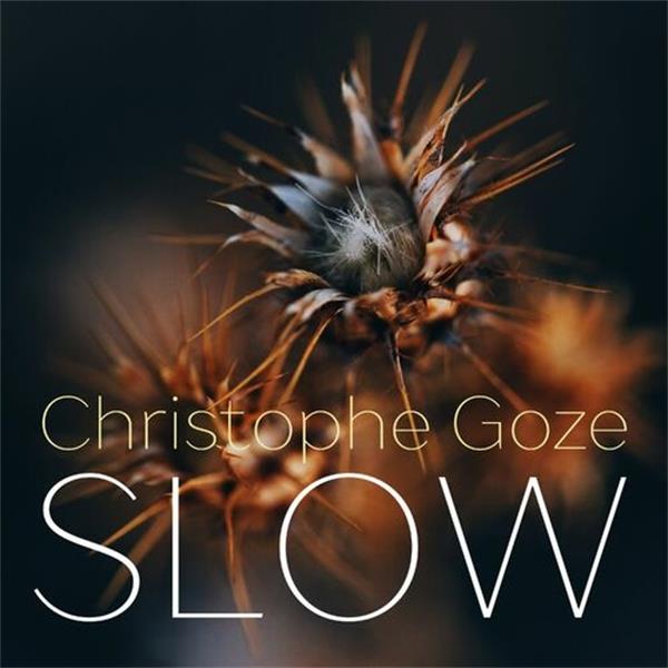 【爵士沙发】ChristopheGoze-2022-Slow(FLAC).